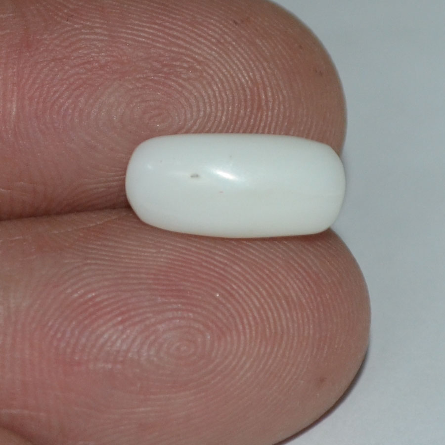 WC174 3 White Coral 3.42 Ct.