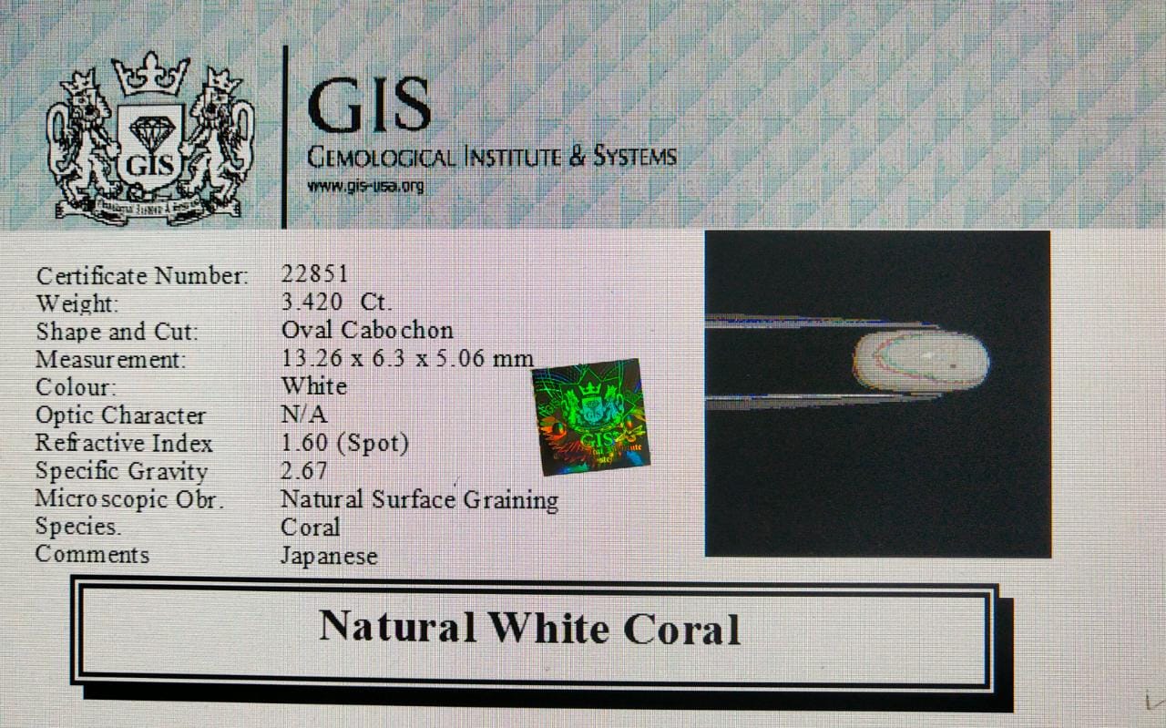 WC174 4 White Coral 3.42 Ct.