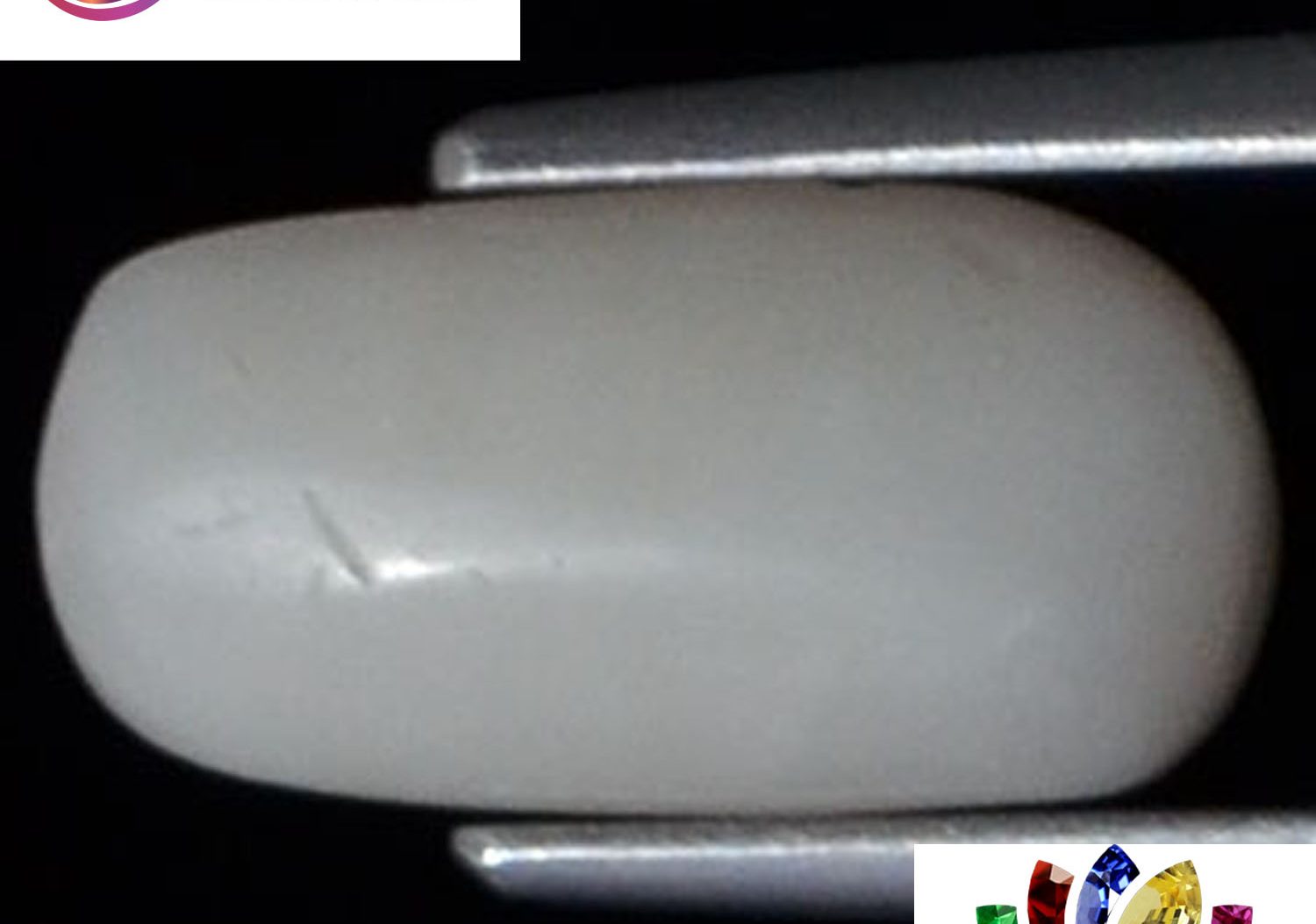 White Coral 2.61 Ct.