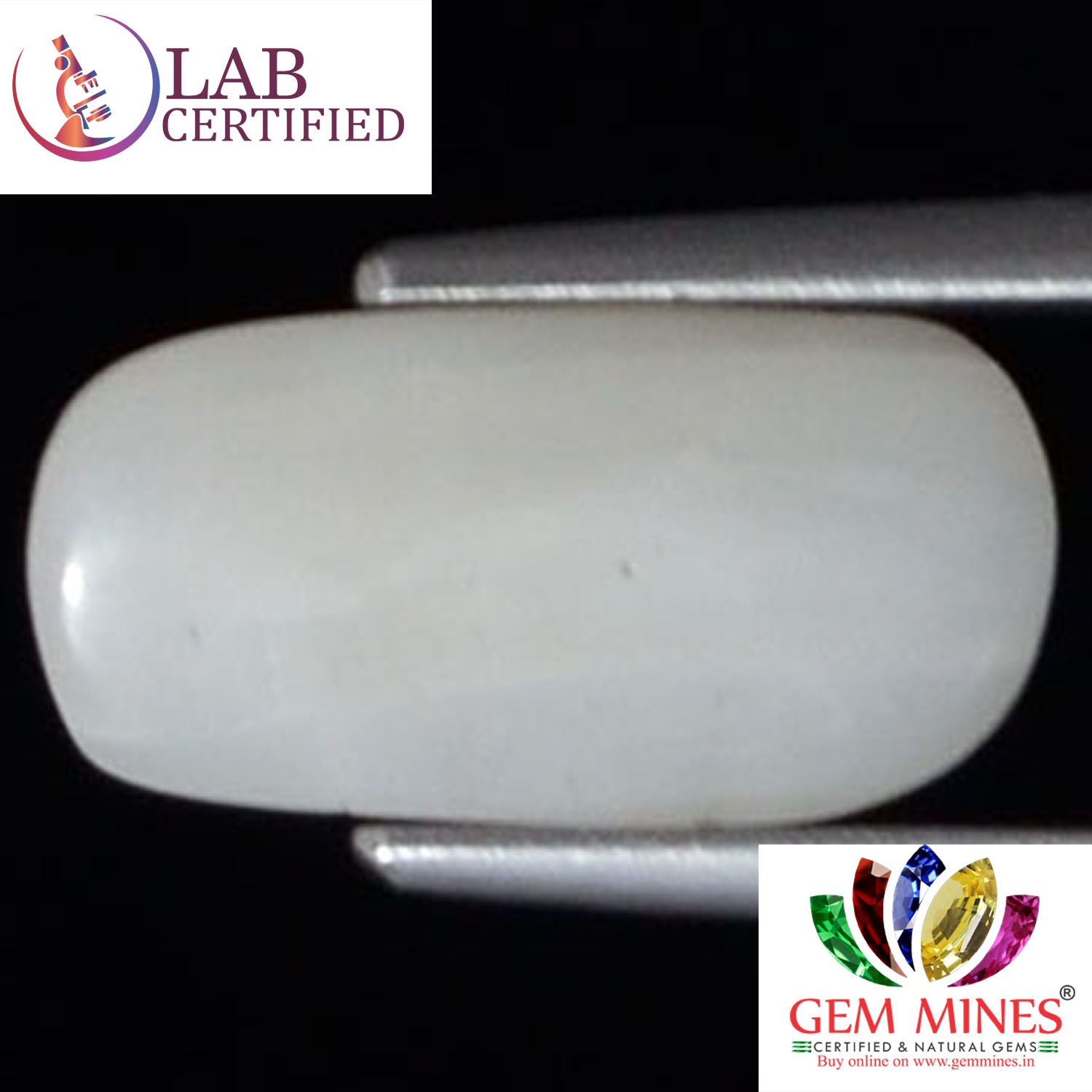 White Coral 2.61 Ct. 3 WC175 2 White Coral 2.61 Ct.