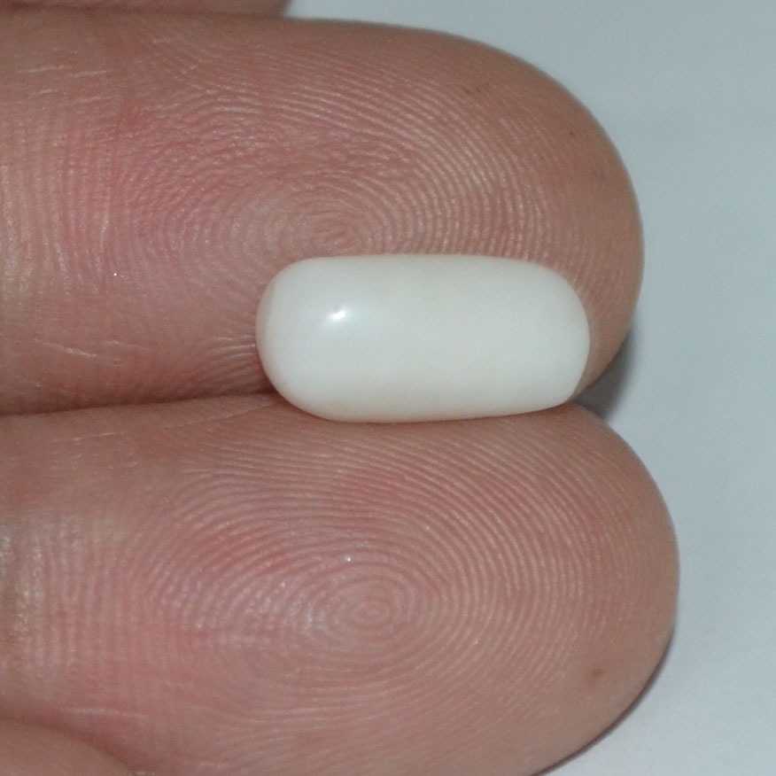 White Coral 2.61 Ct. 4 WC175 3 White Coral 2.61 Ct.