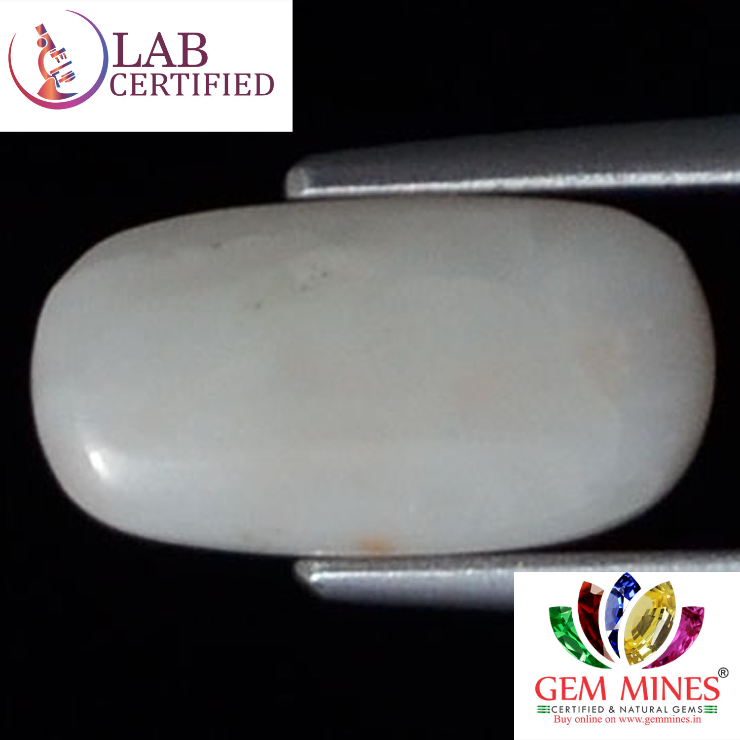 White Coral 3.28 Ct. 3 WC176 2 White Coral 3.28 Ct.