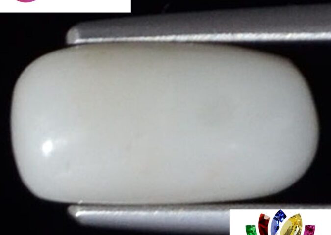 WC177 1 e1680685626329 White Coral 2.66 Ct.