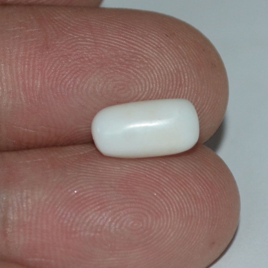 WC177 3 White Coral 2.66 Ct.