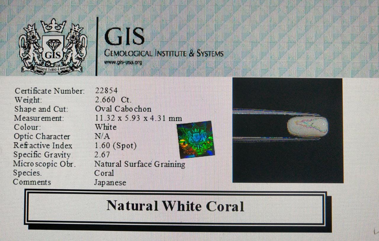 WC177 4 White Coral 2.66 Ct.