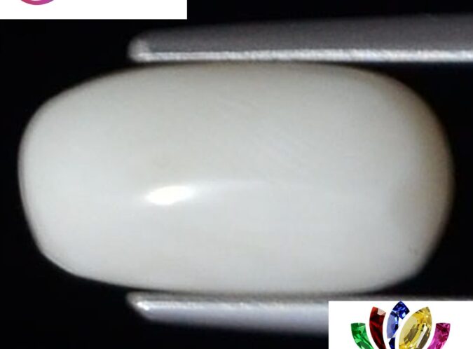 WC180 1 e1680686074360 White Coral 3.82 Ct.