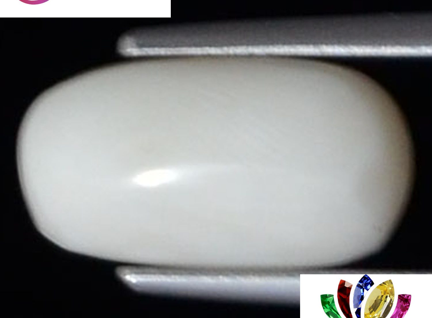 White Coral 3.82 Ct.