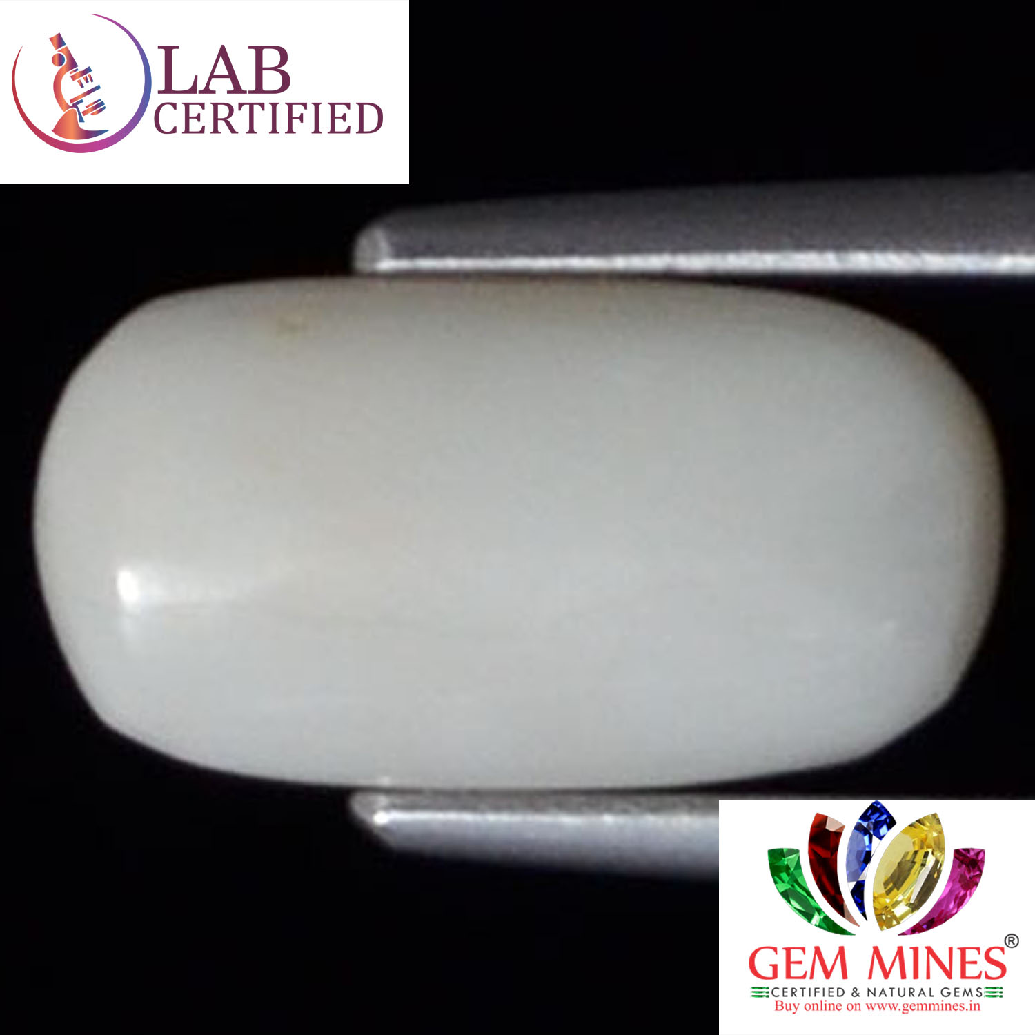 WC180 2 White Coral 3.82 Ct.