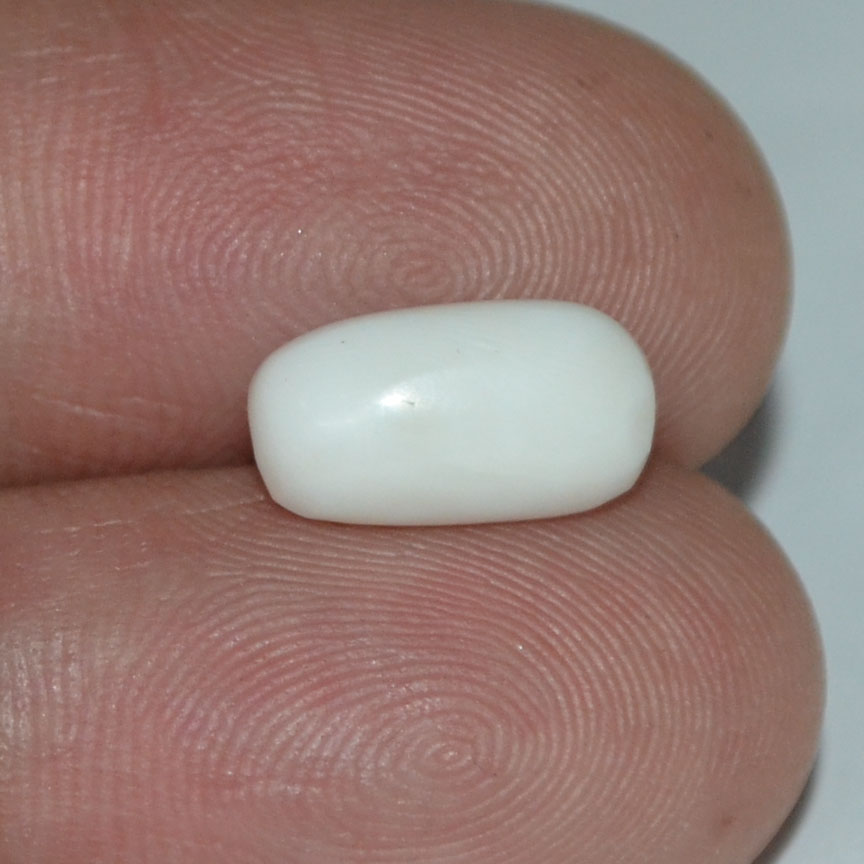 WC180 3 White Coral 3.82 Ct.