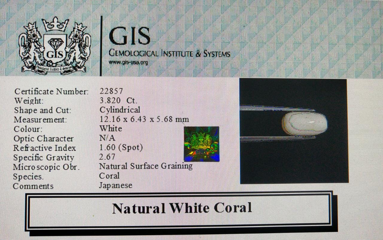 WC180 4 White Coral 3.82 Ct.