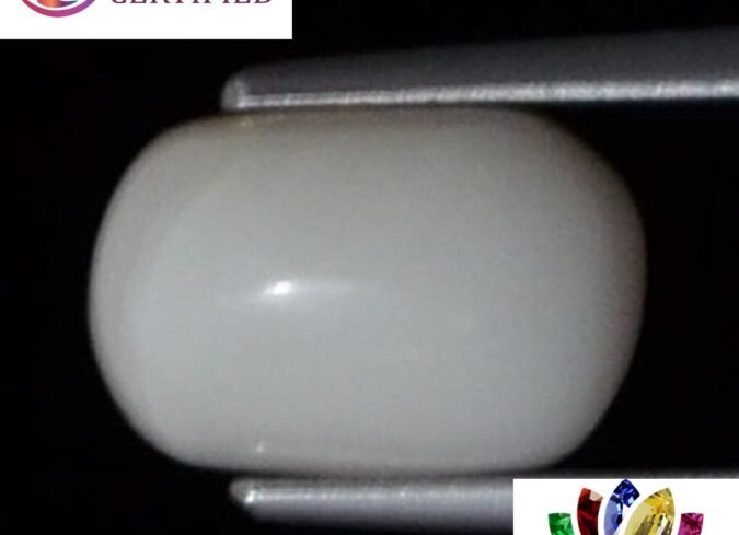 WC181 1 e1680685988951 White Coral 3.49 Ct.