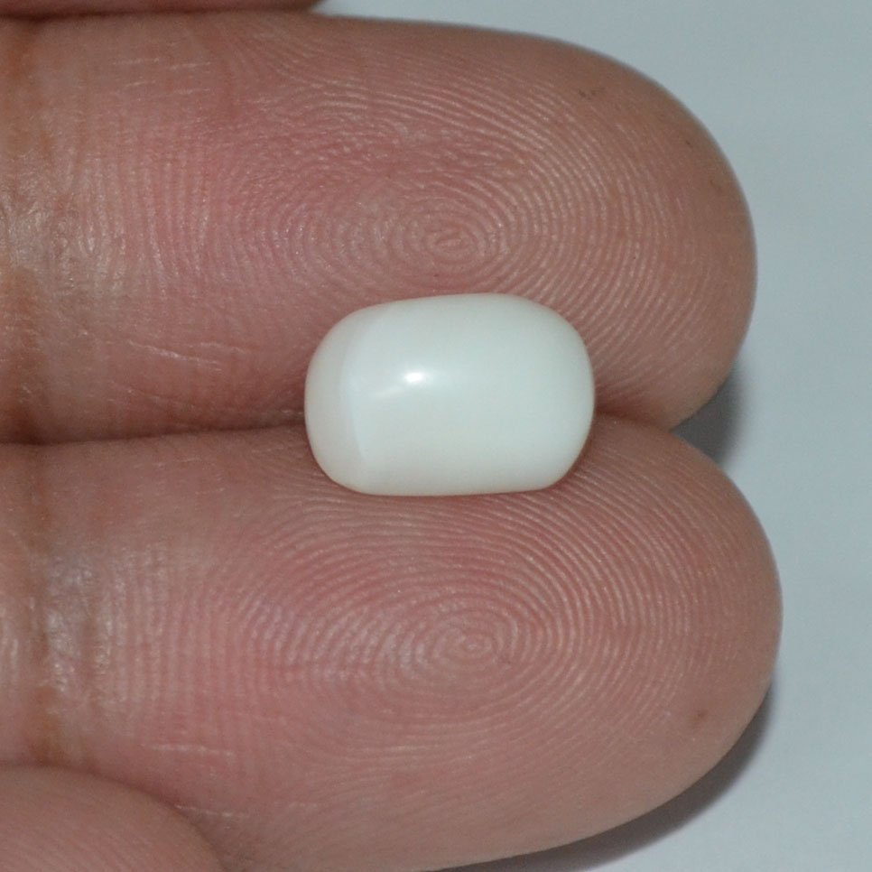 WC181 3 White Coral 3.49 Ct.