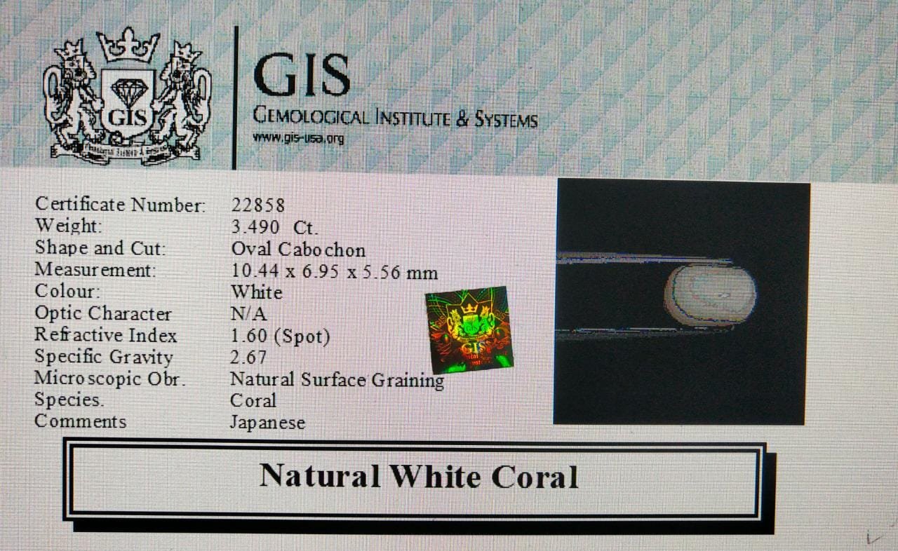 WC181 4 White Coral 3.49 Ct.