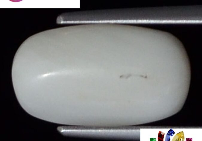 WC184 1 e1680686078854 White Coral 3.72 Ct.