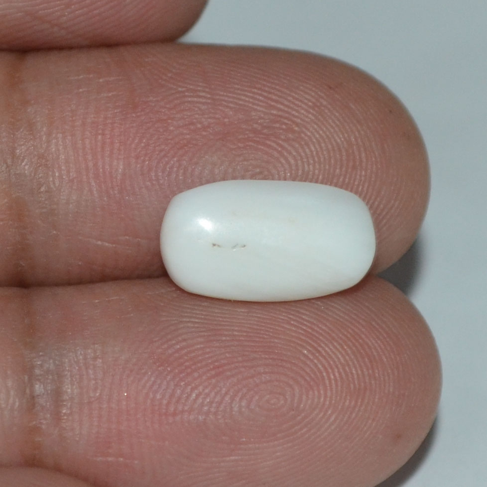 WC184 3 White Coral 3.72 Ct.