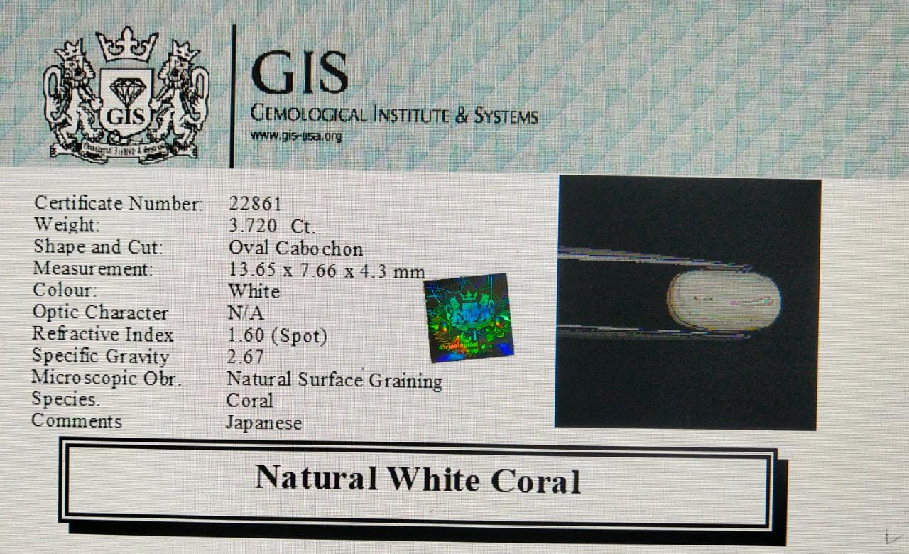 WC184 4 White Coral 3.72 Ct.