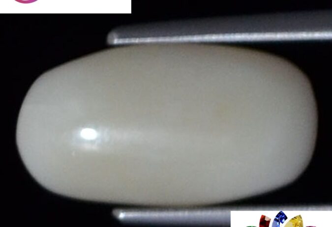 White Coral 3.65 Ct. 1 WC187 1 e1680686520535 White Coral 3.65 Ct.