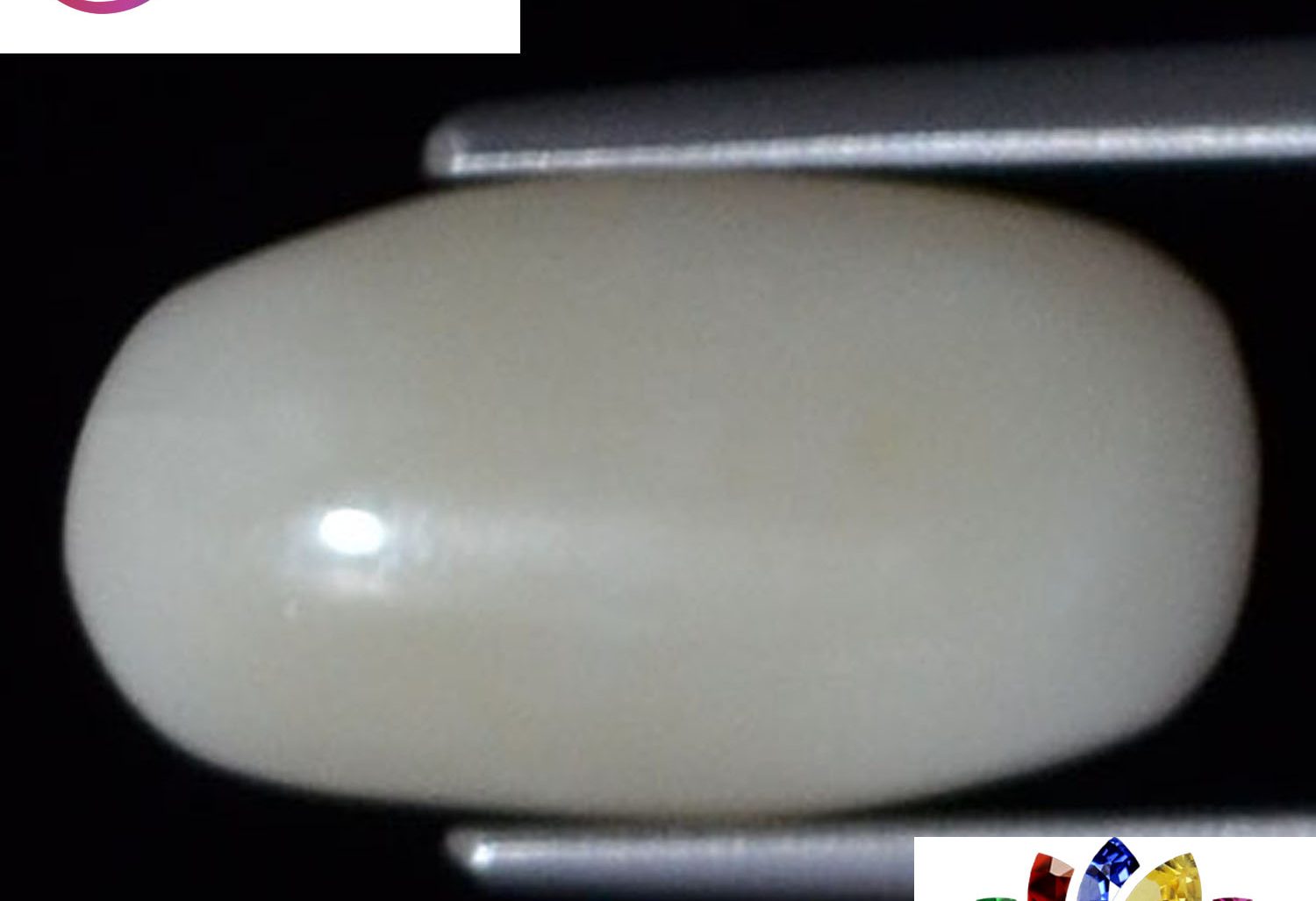 White Coral 3.65 Ct.