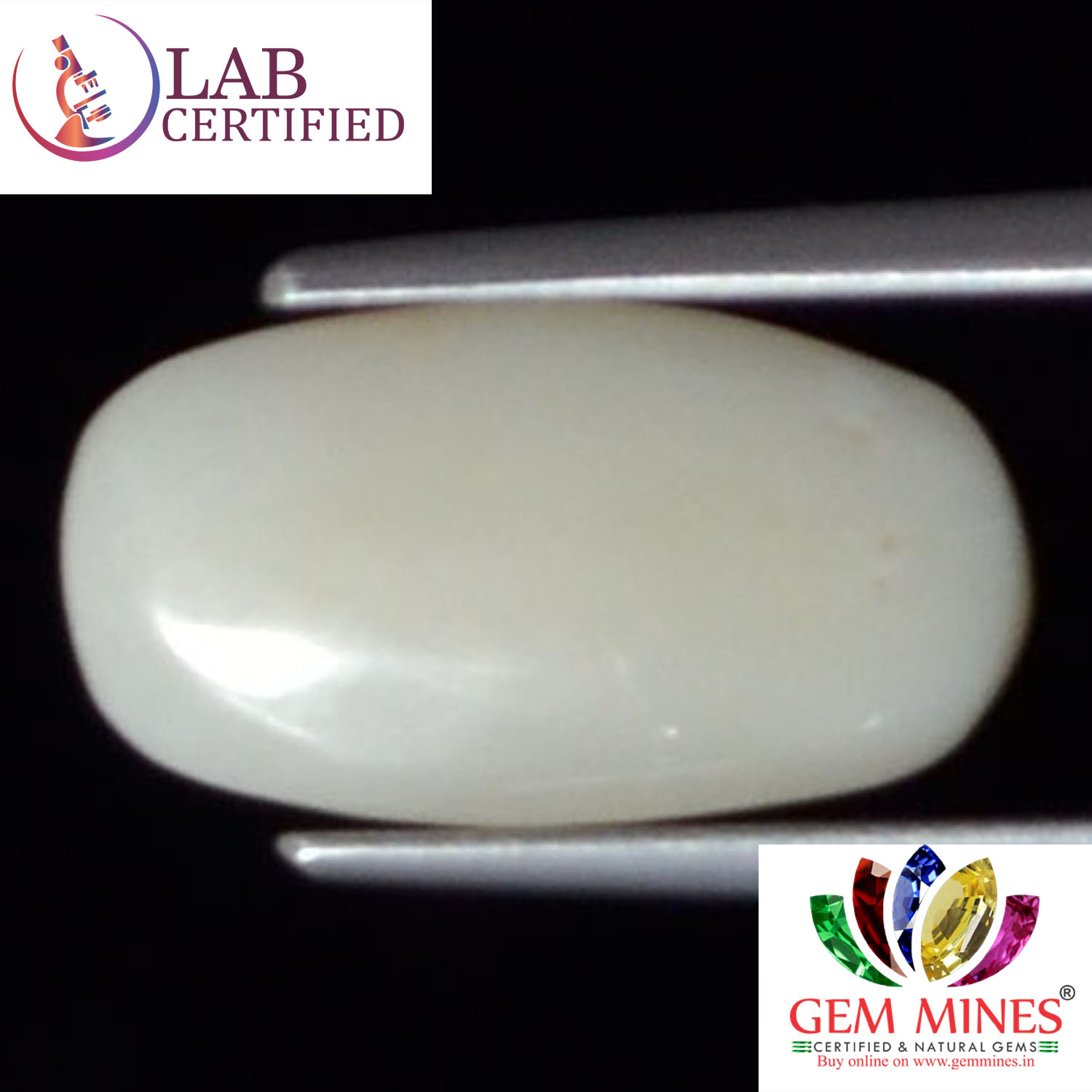 White Coral 3.65 Ct. 3 WC187 2 White Coral 3.65 Ct.