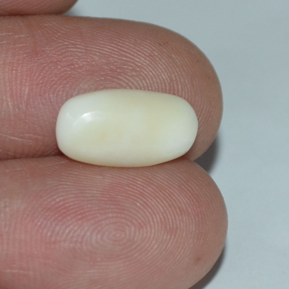 White Coral 3.65 Ct. 4 WC187 3 White Coral 3.65 Ct.