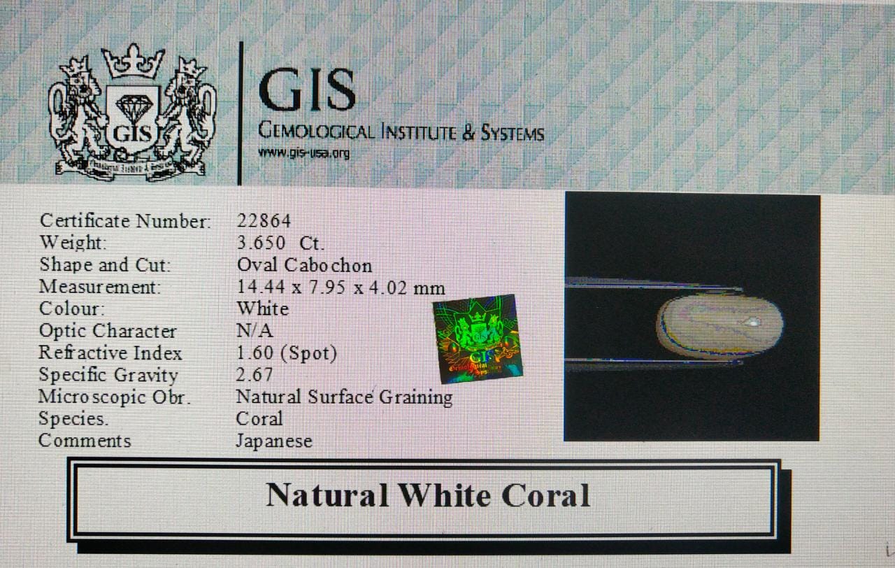 White Coral 3.65 Ct. 5 WC187 4 White Coral 3.65 Ct.