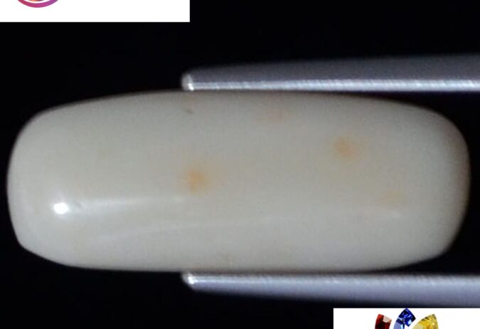 WC188 1 e1680686083624 White Coral 3.87 Ct.