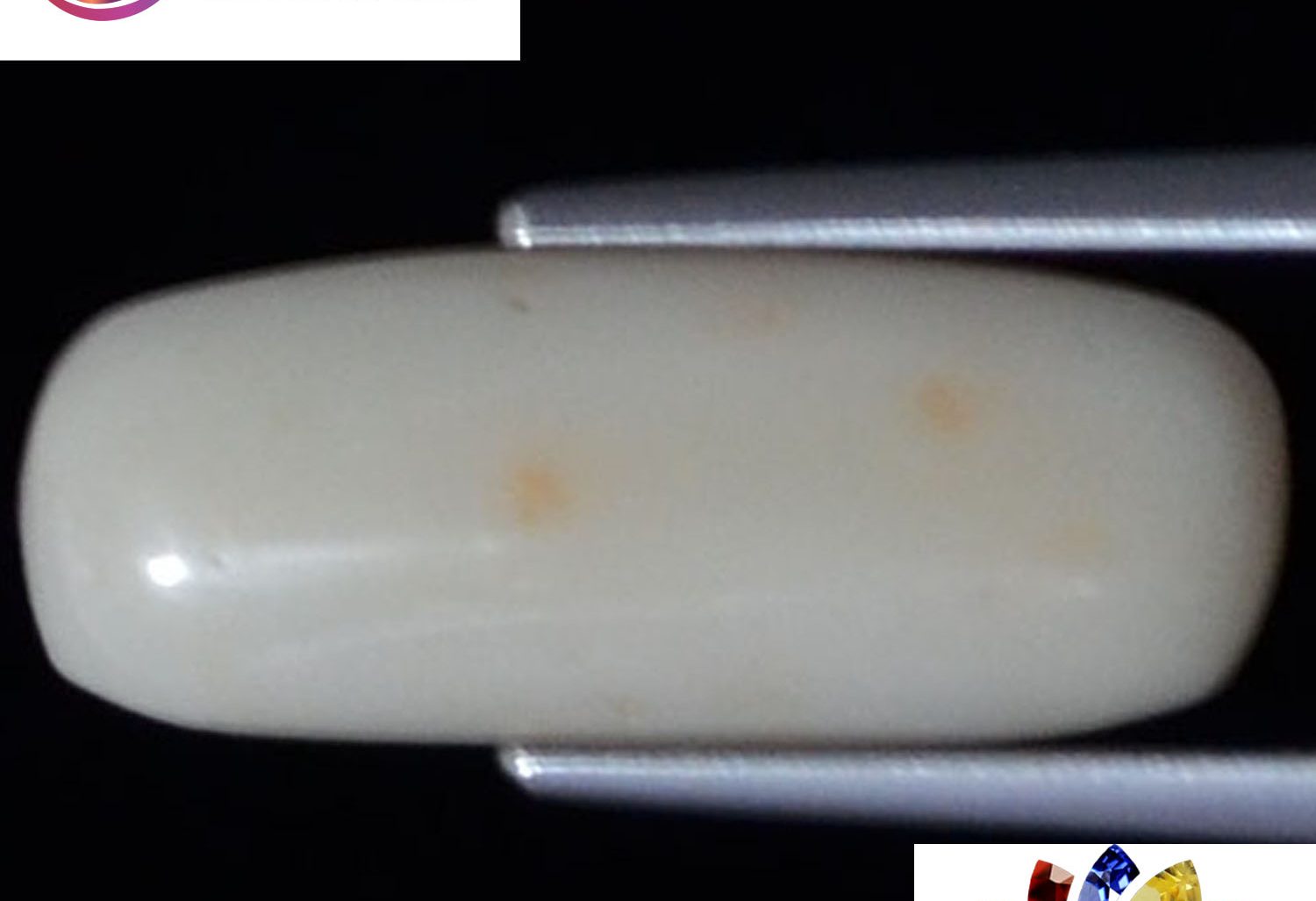 White Coral 3.87 Ct.