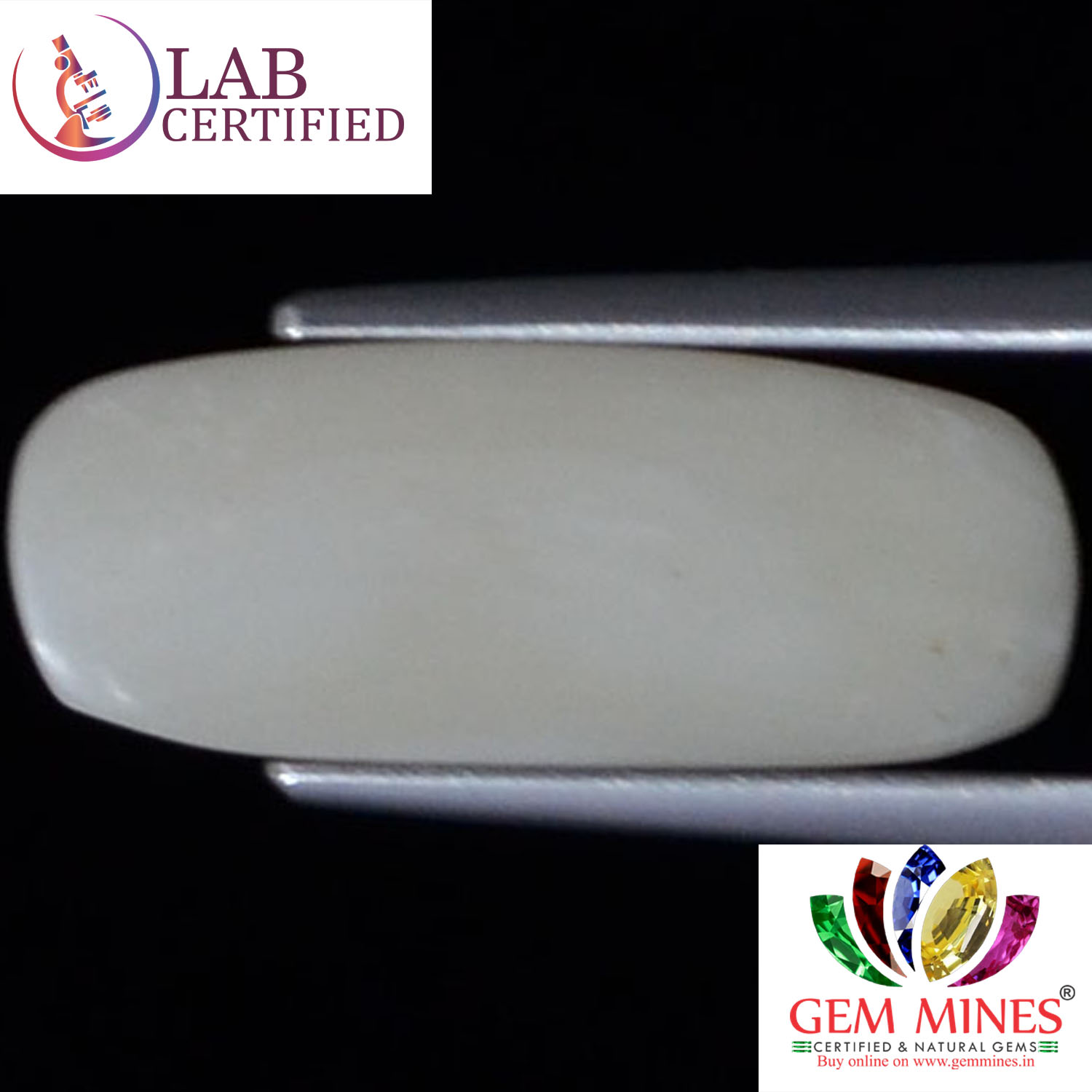 WC188 2 White Coral 3.87 Ct.