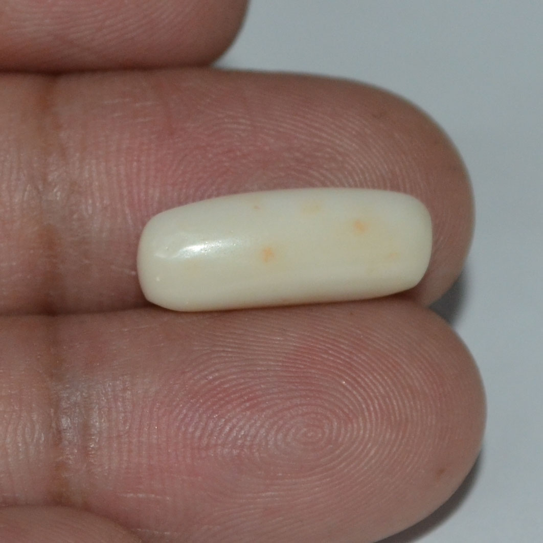 WC188 3 White Coral 3.87 Ct.