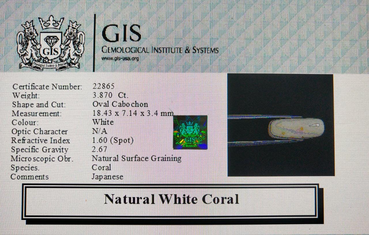 WC188 4 White Coral 3.87 Ct.