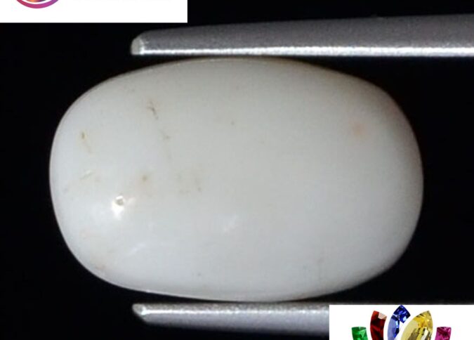 White Coral 3.7 Ct. 1 WC192 1 e1680686527851 White Coral 3.7 Ct.