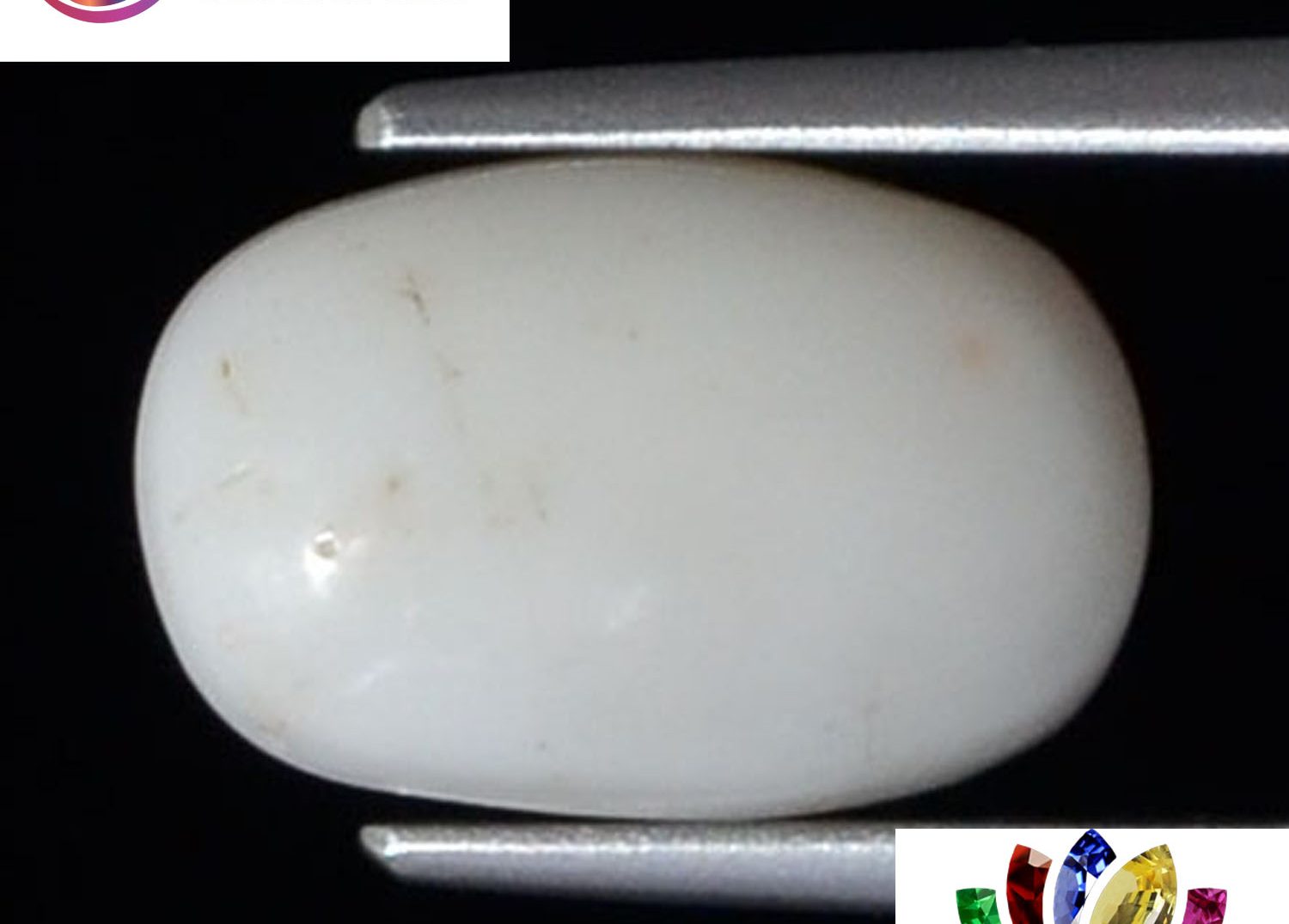 White Coral 3.7 Ct.