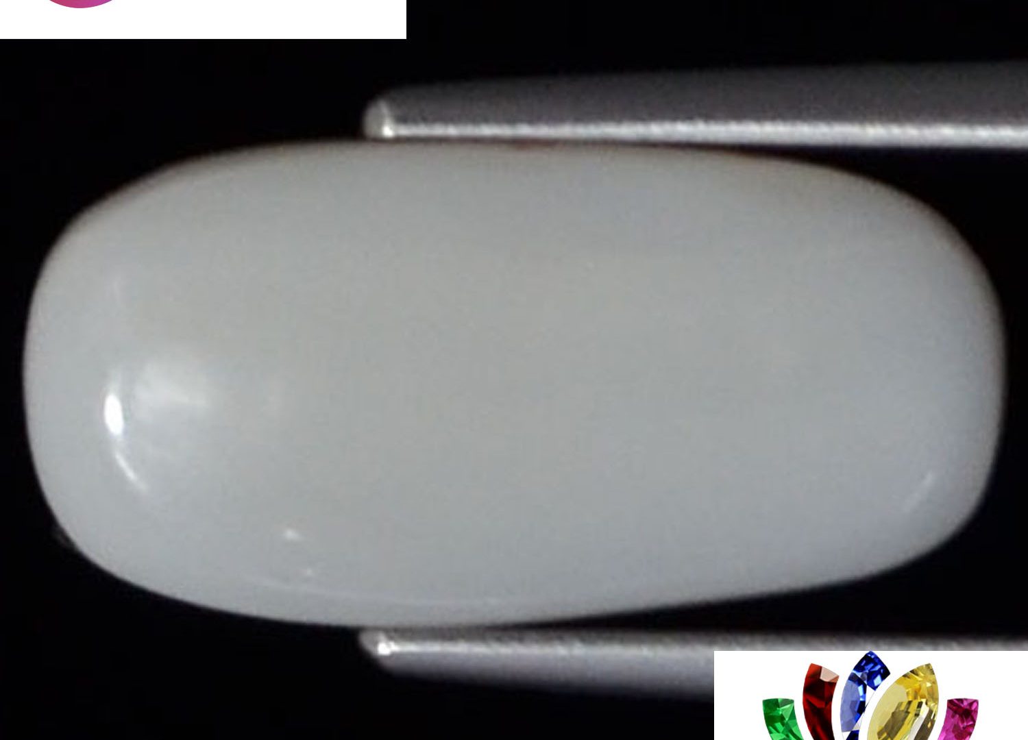 White Coral 2.73 Ct.