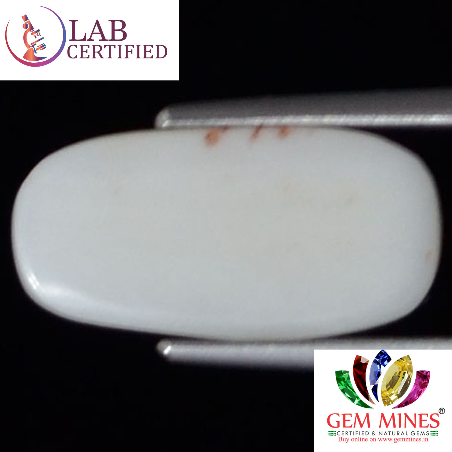 White Coral 2.73 Ct. 3 WC193 2 White Coral 2.73 Ct.