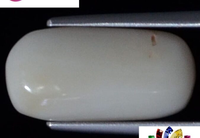 WC196 1 e1680686863824 White Coral 4.68 Ct.