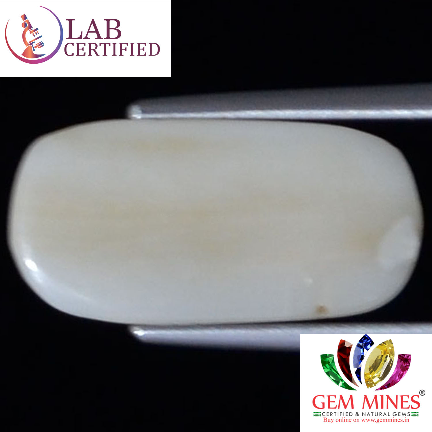 WC196 2 White Coral 4.68 Ct.