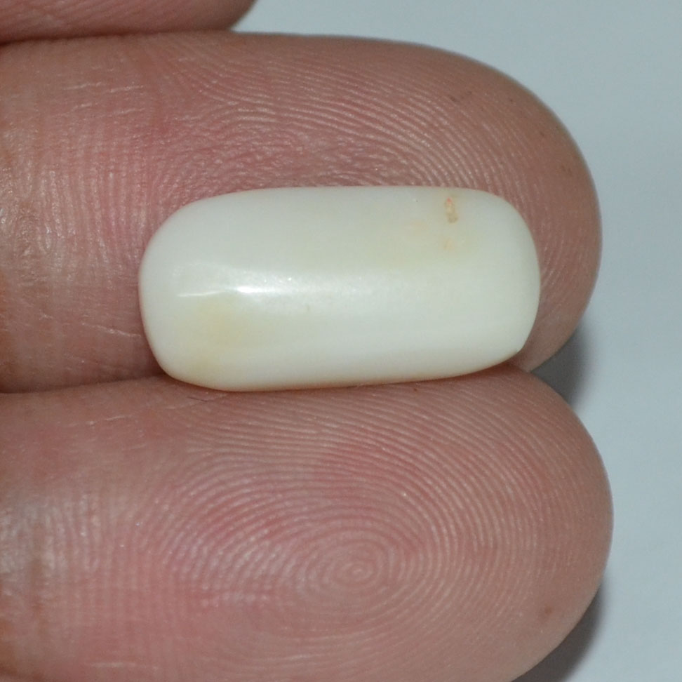 WC196 3 White Coral 4.68 Ct.