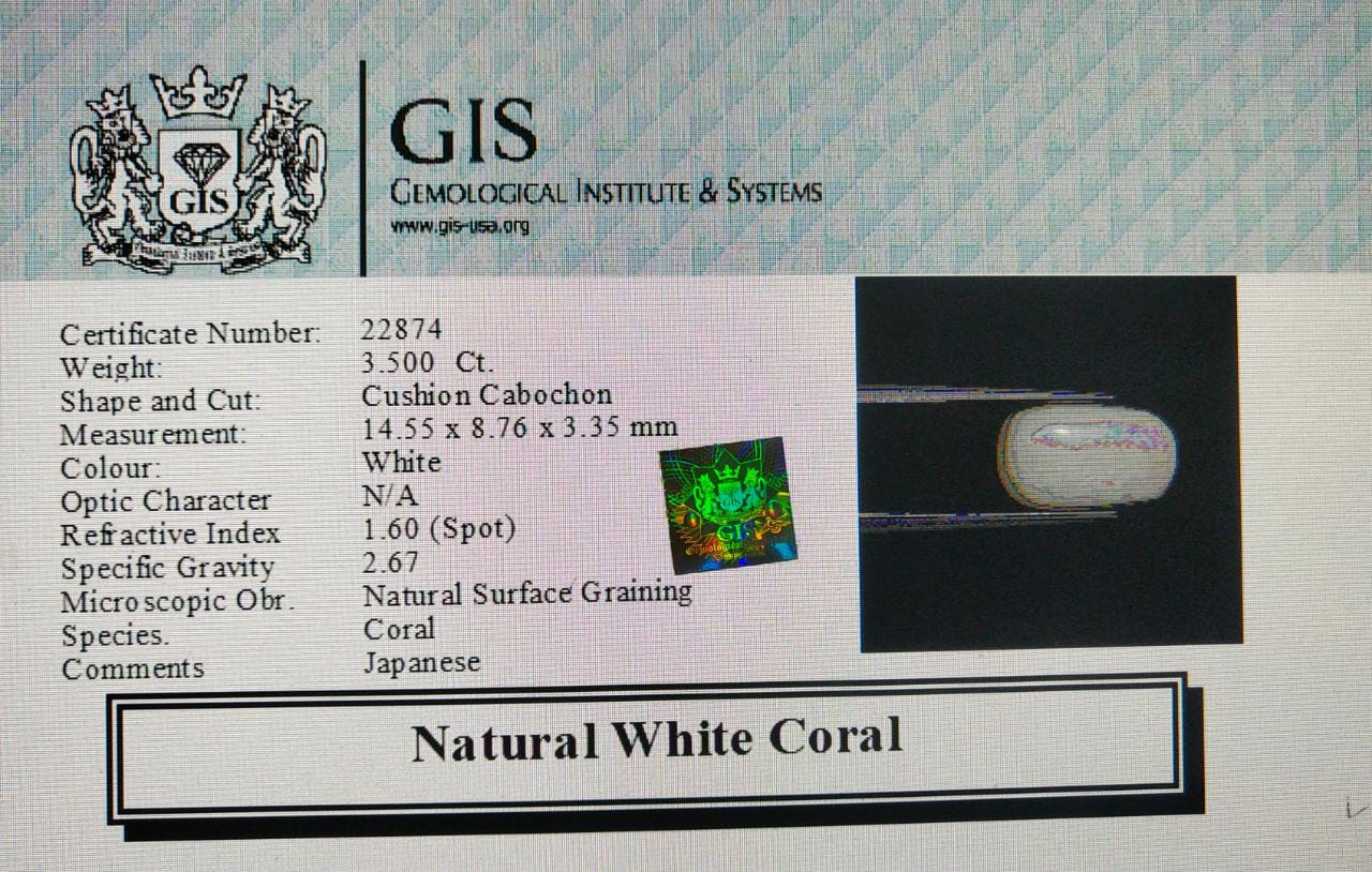White Coral 3.5 Ct.