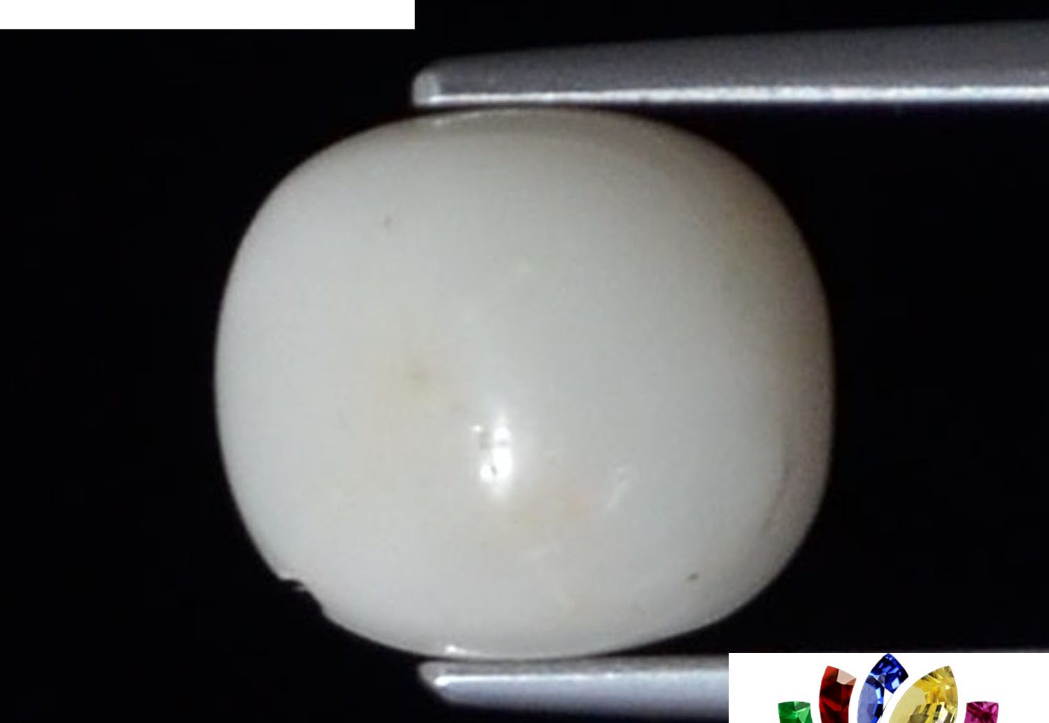White Coral 4.04 Ct.