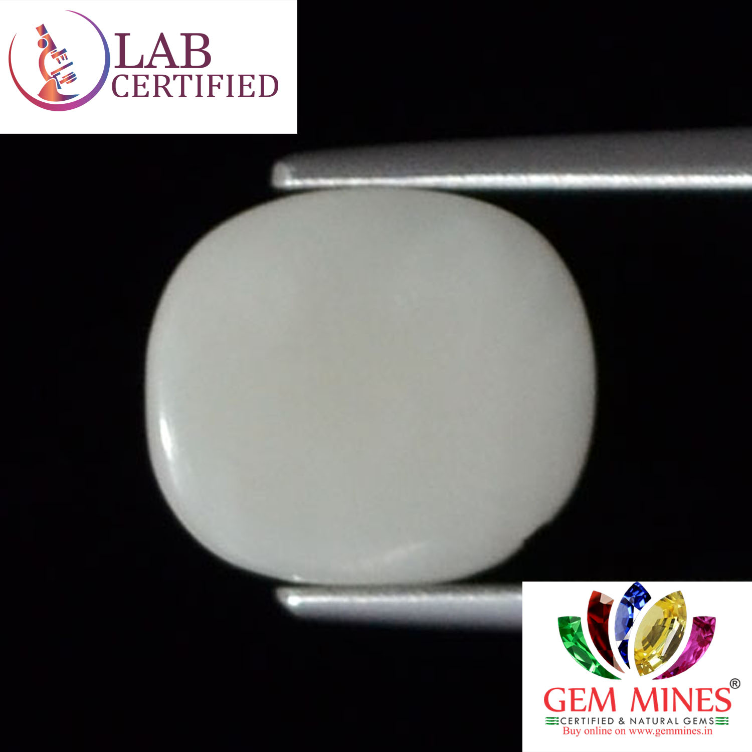 White Coral 4.04 Ct. 3 WC198 2 White Coral 4.04 Ct.