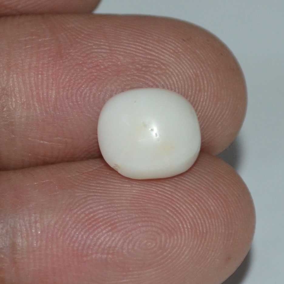 White Coral 4.04 Ct. 4 WC198 3 White Coral 4.04 Ct.