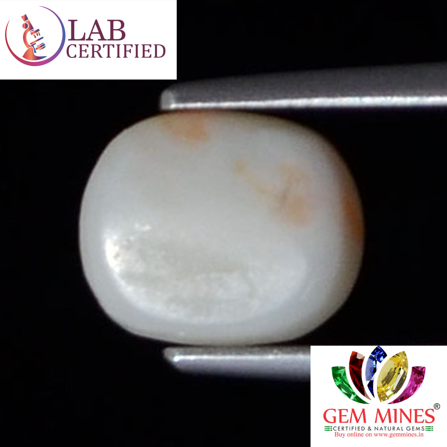 White Coral 2.71 Ct. 3 WC200 2 White Coral 2.71 Ct.