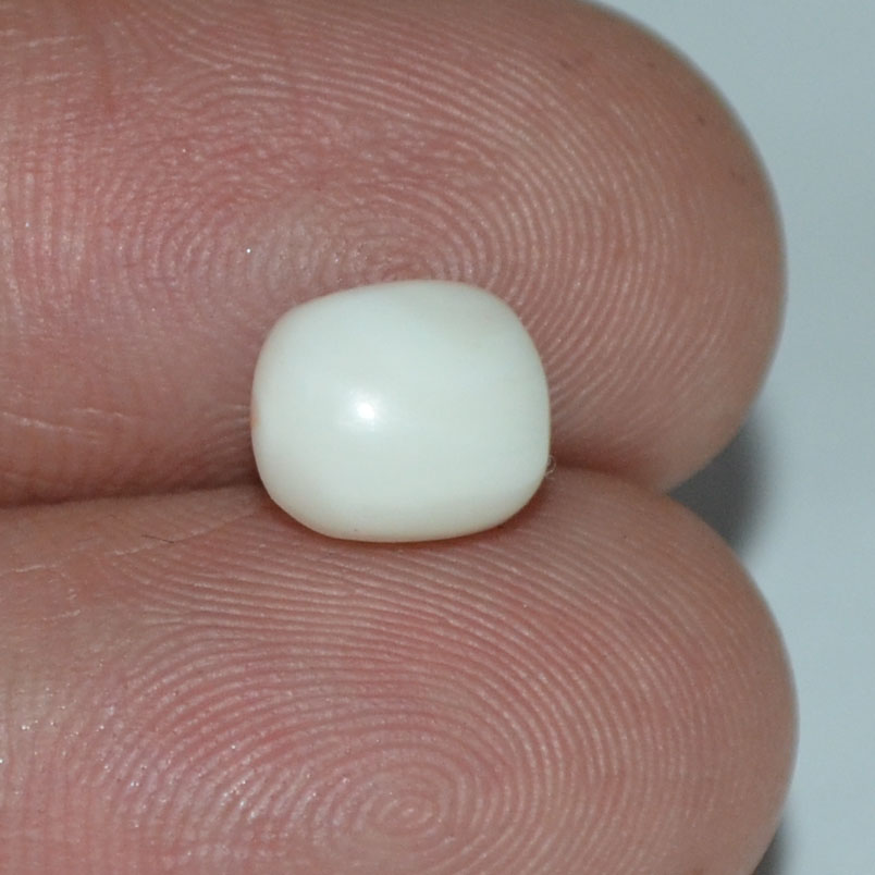 White Coral 2.71 Ct. 4 WC200 3 White Coral 2.71 Ct.