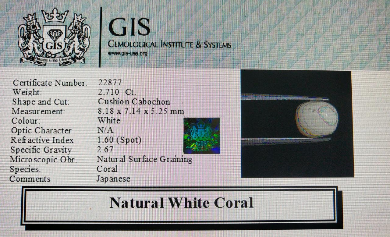 White Coral 2.71 Ct. 5 WC200 4 White Coral 2.71 Ct.