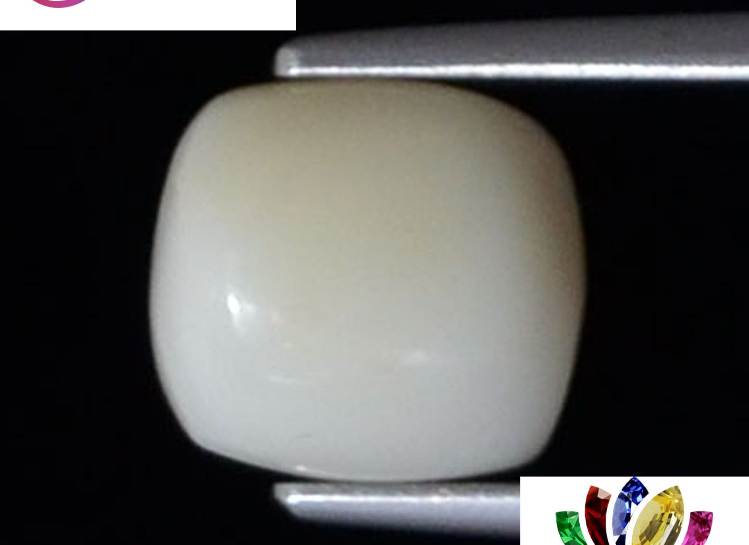 White Coral 2.4 Ct.