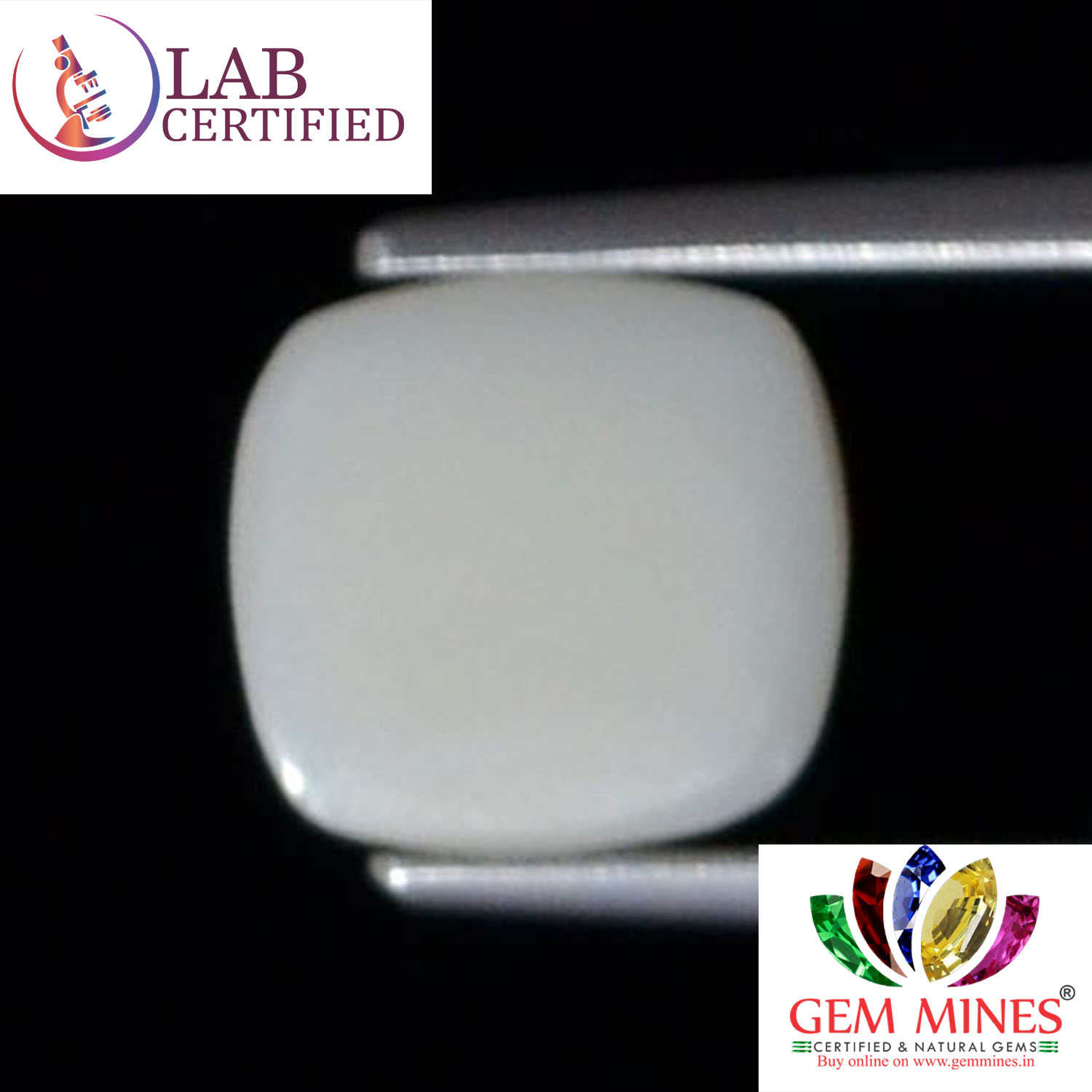 WC201 2 White Coral 2.4 Ct.