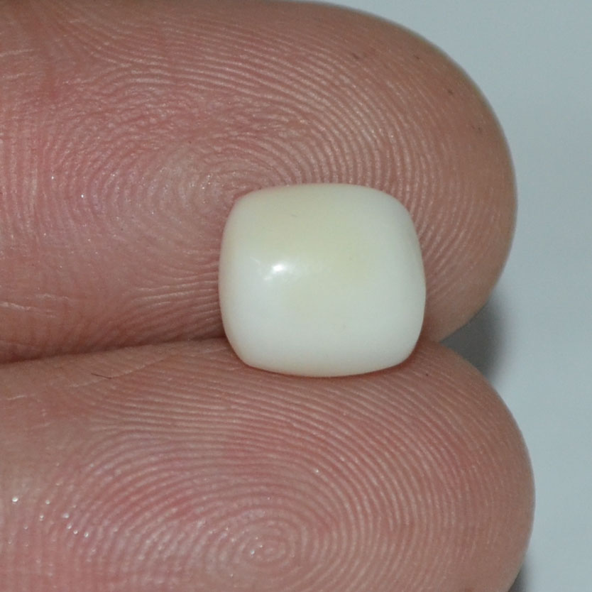 WC201 3 White Coral 2.4 Ct.