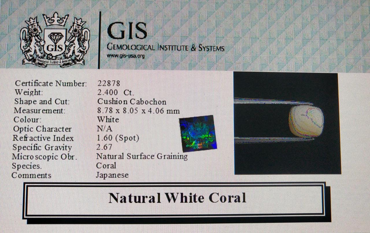 WC201 4 White Coral 2.4 Ct.