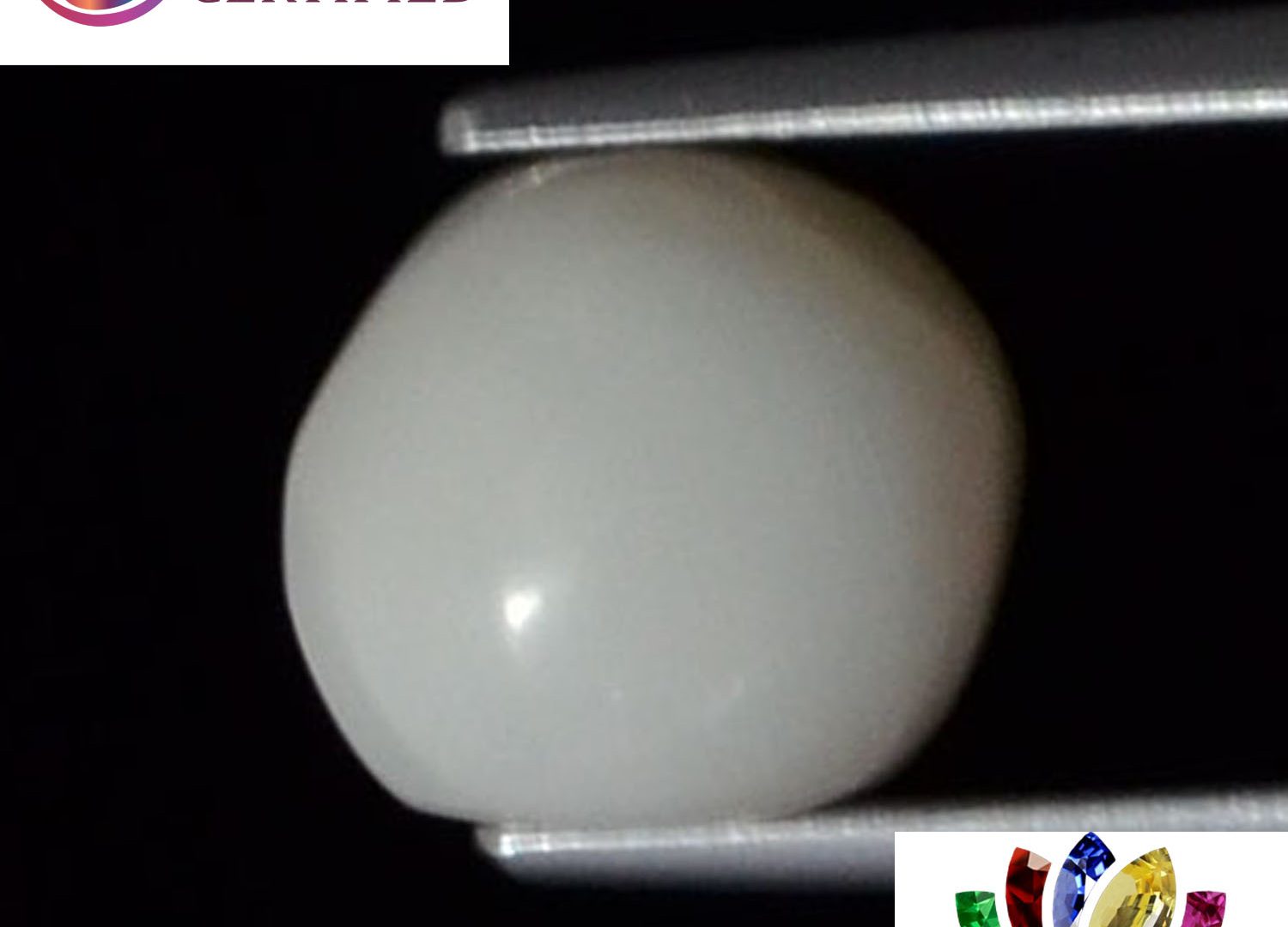 White Coral 4.36 Ct.