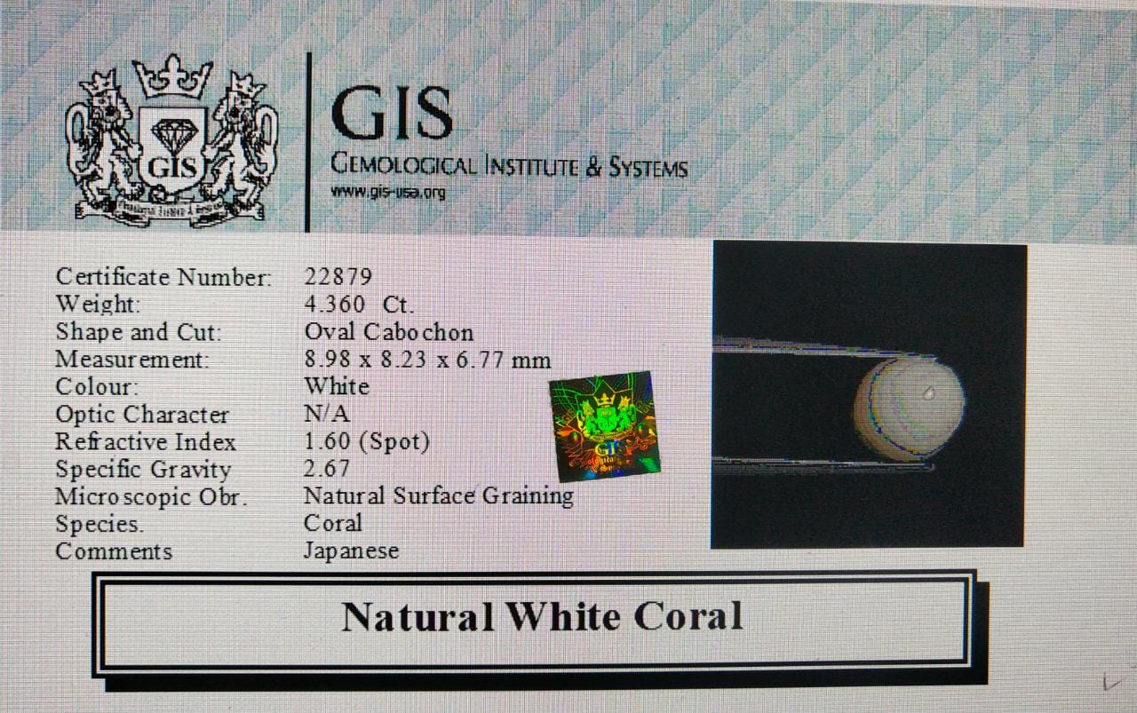 White Coral 4.36 Ct. 5 WC202 4 White Coral 4.36 Ct.
